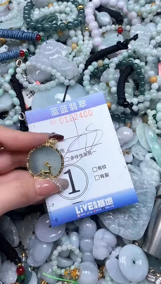 【闪购商品】翡翠颈饰未镶嵌闪购0122400多样性发其一