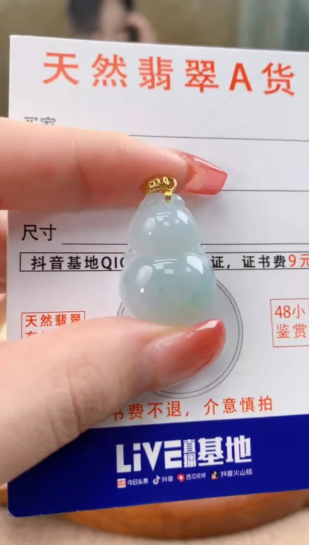 颈饰未镶嵌翡翠天然A货翡翠挂件