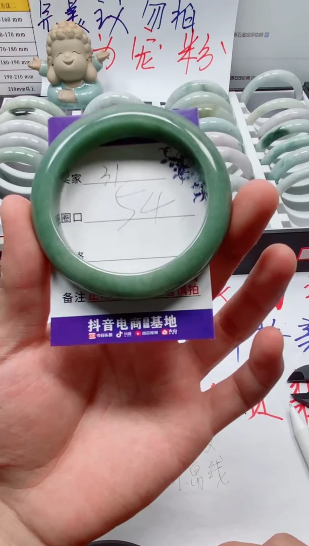 未镶嵌手镯翡翠31