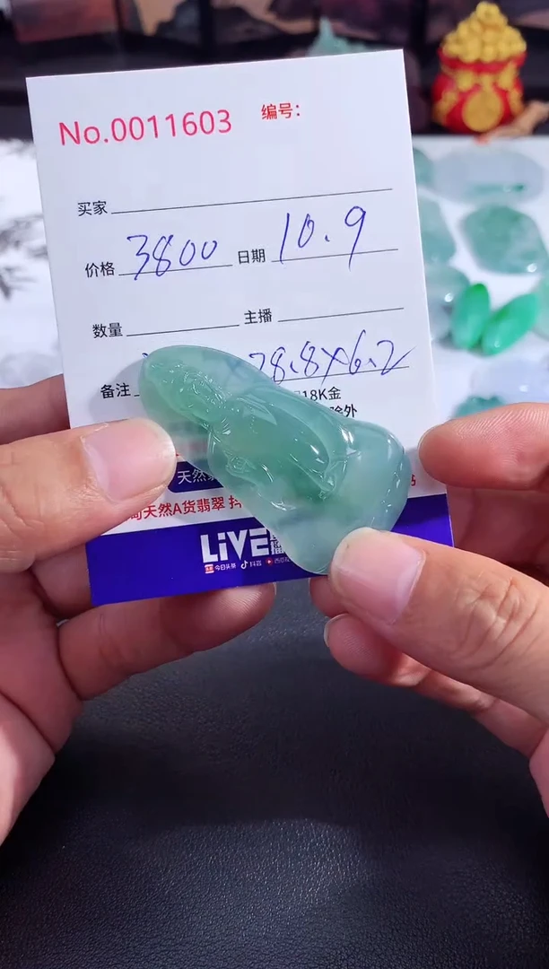 颈饰未镶嵌翡翠素衣