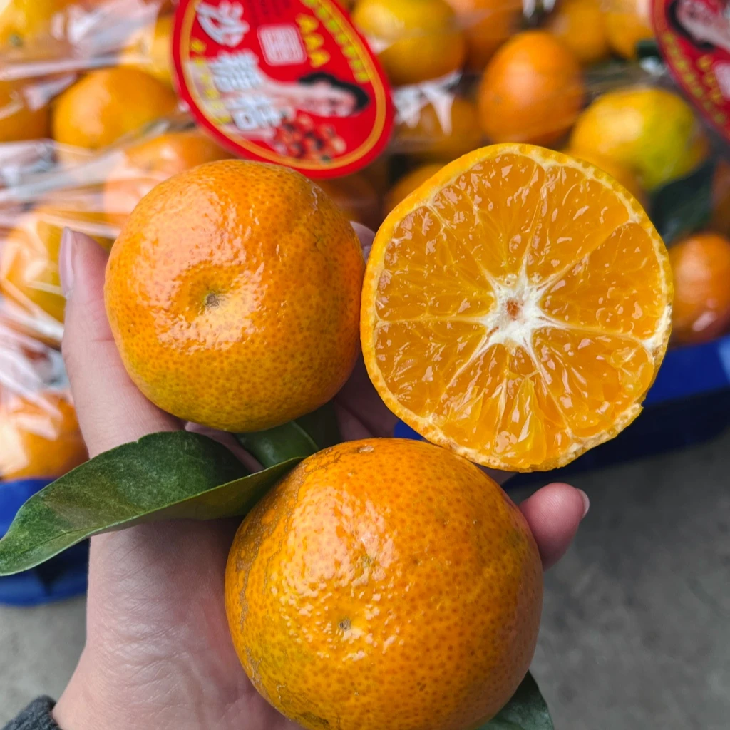 云南·金秋砂糖橘/大筐丨同城小时达云南省