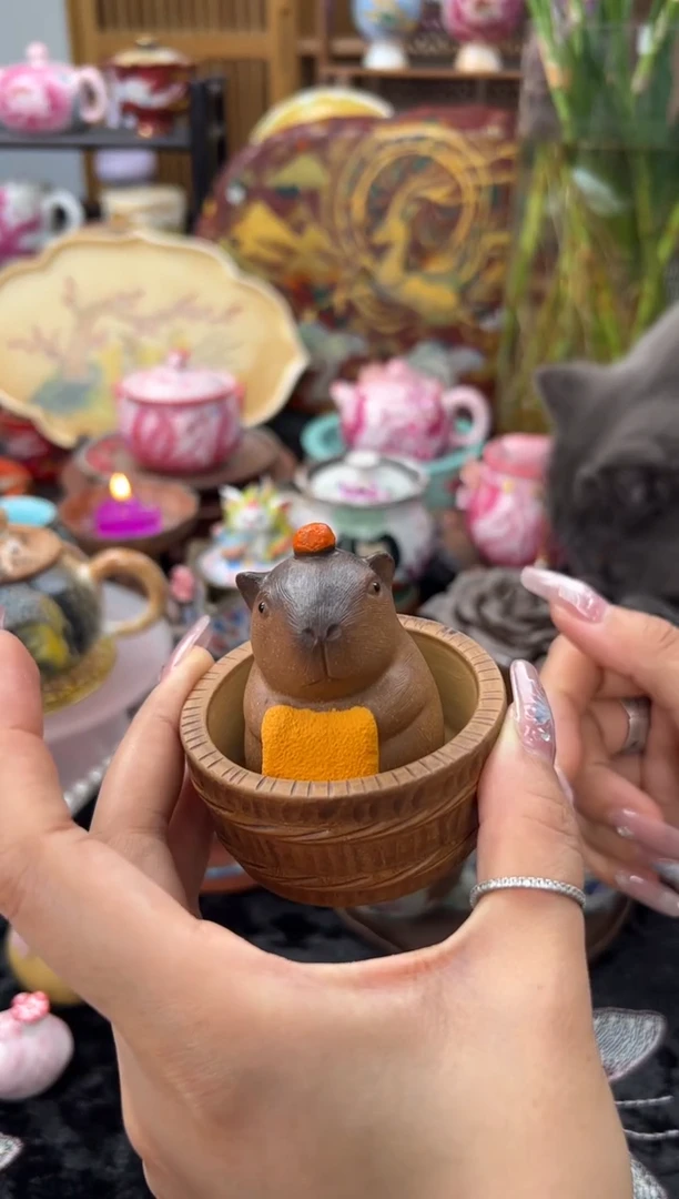 木木甄选茶宠S808