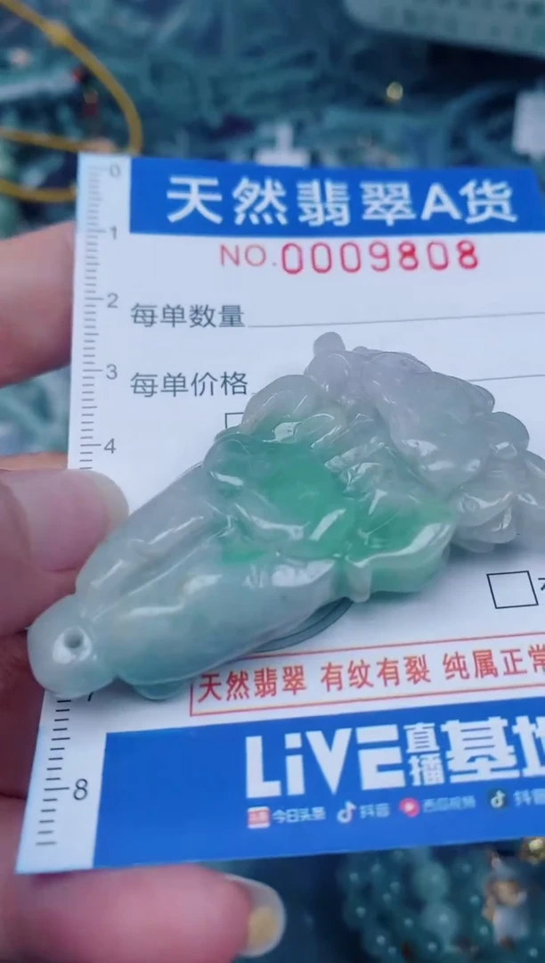 颈饰未镶嵌翡翠00009808