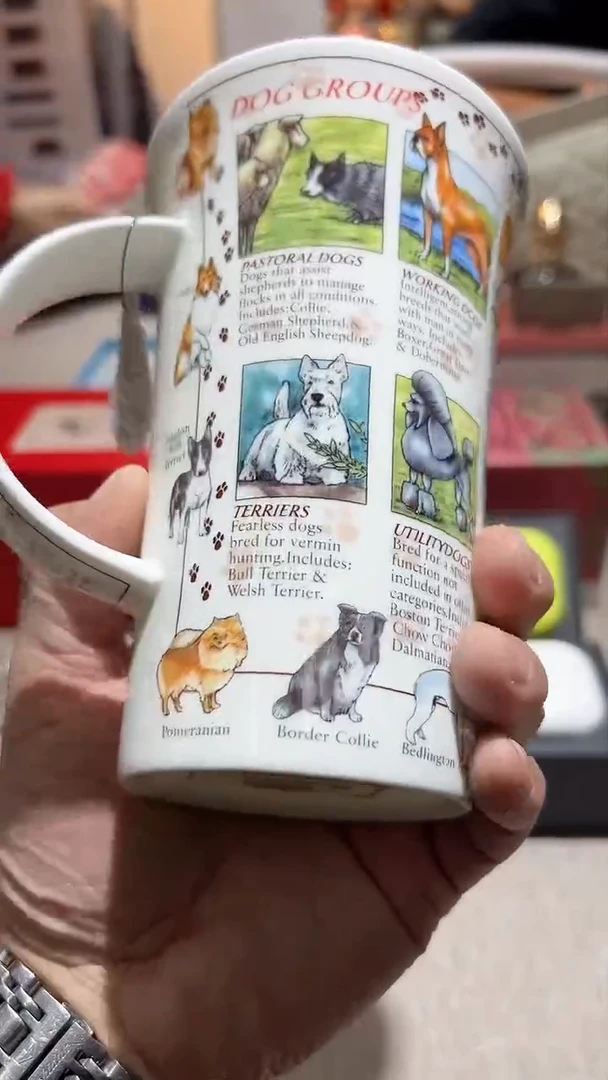 【闪购商品】瓷片算了，真划算买它