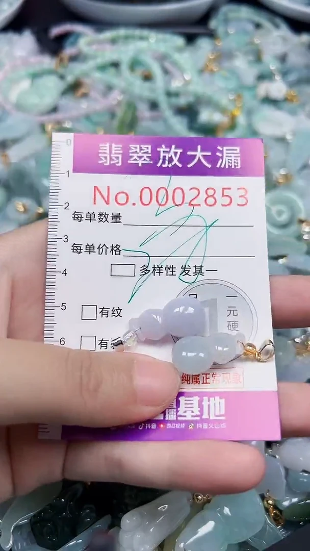 颈饰未镶嵌翡翠2853