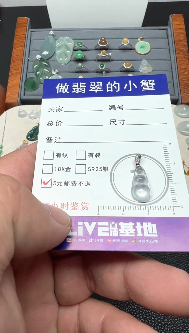 颈饰18K金镶嵌翡翠博**辰（38号链接）纯天然缅甸翡翠吊坠 豆子