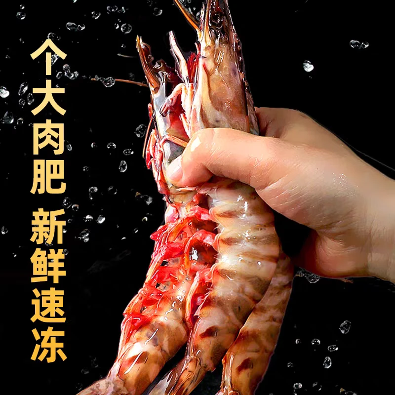 《一斤5-6只超大虾》东山岛野生斑节虾九节虾鲜活速冻顺丰包邮