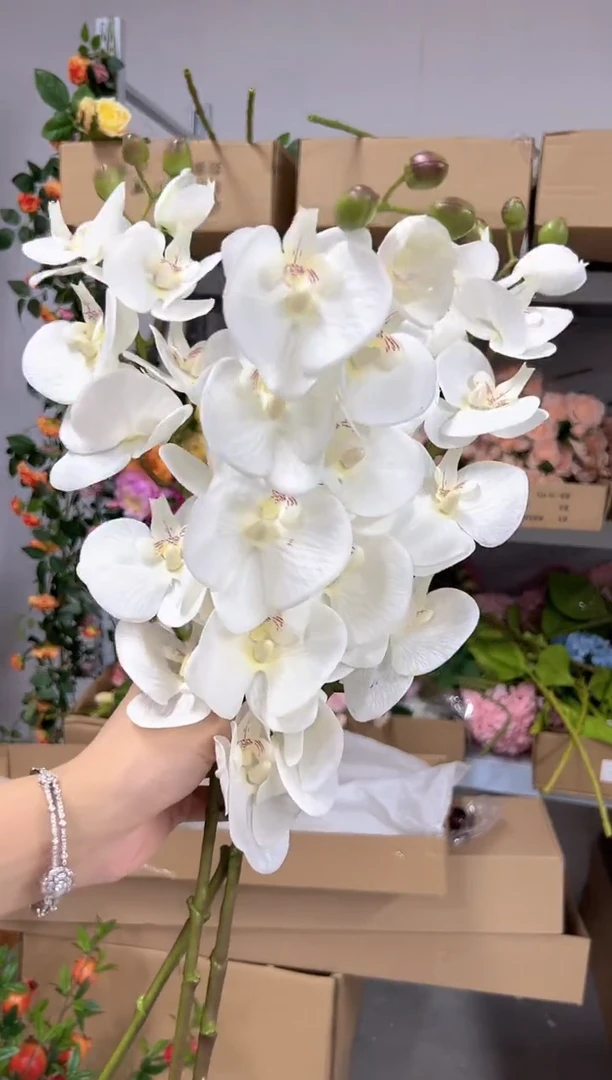 3枝白色手感保湿蝴蝶兰