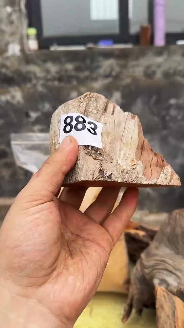 柏木太行陈化崖柏现切片随机一片！（1单1片）883