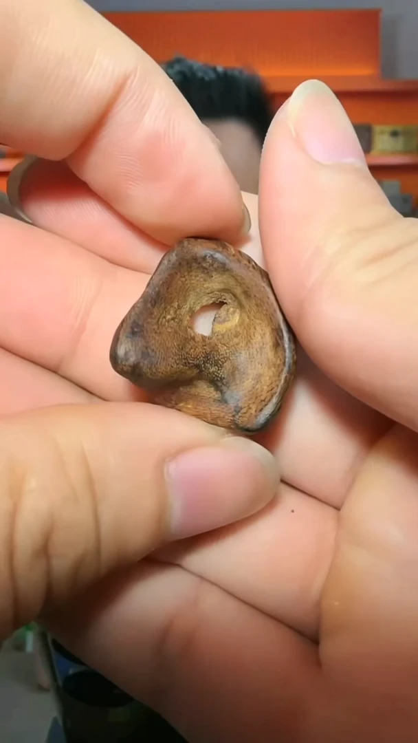 沉香吊坠15号瘤疤多样性发一