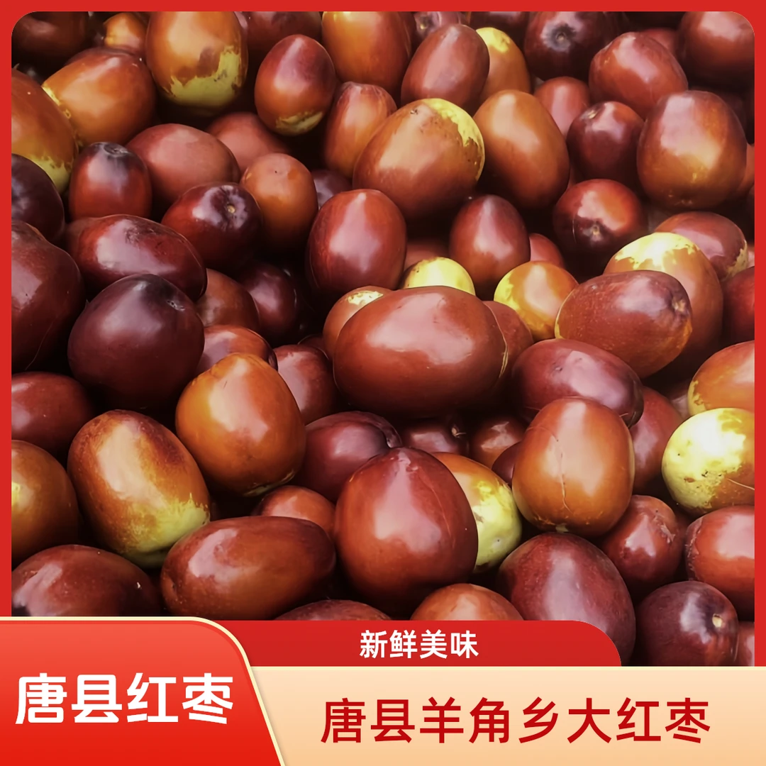 唐县羊角乡特产红枣新鲜现摘应季水果脆甜果肉饱满鲜枣农副产品
