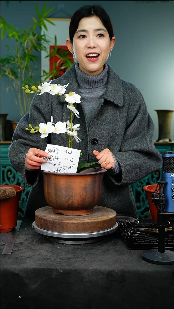 紫砂花盆9426颜色不挑