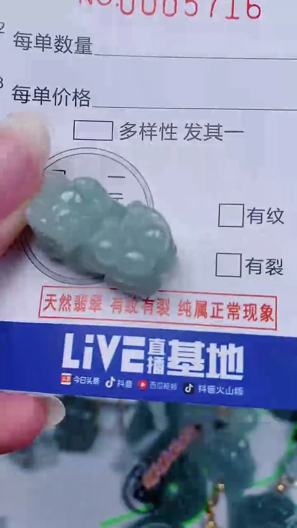 翡翠未镶嵌颈饰00005716