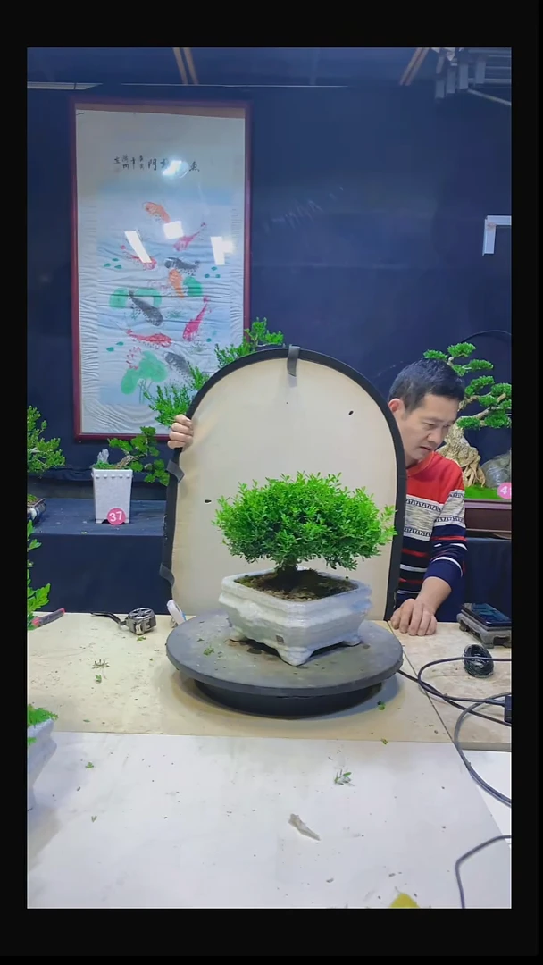 无花朵用****7111111111111