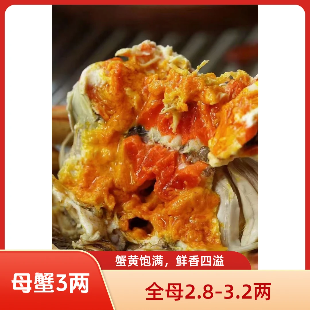无品牌【活蟹】苏州生态大闸蟹-母蟹-2.5两8只/10只螃蟹