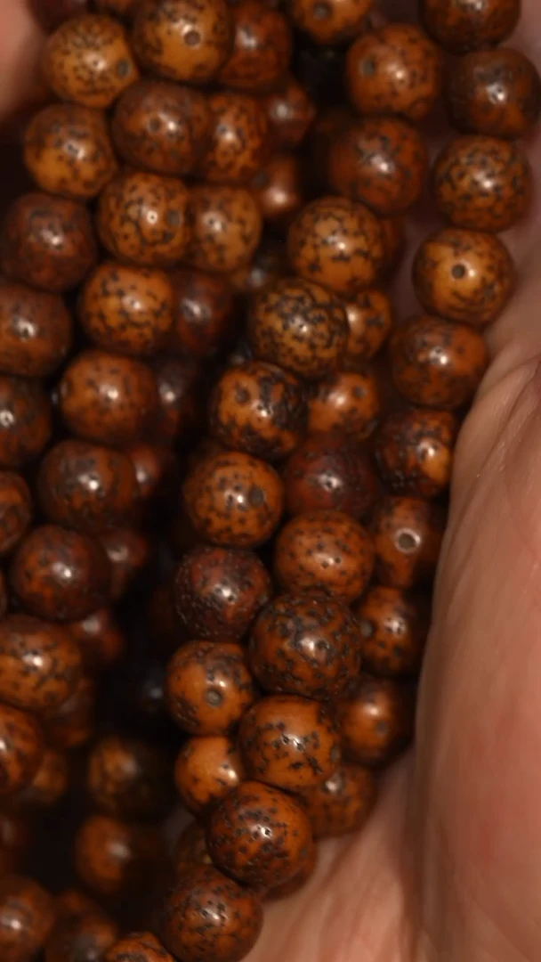 冲赛康胡子哥，藏传念珠185