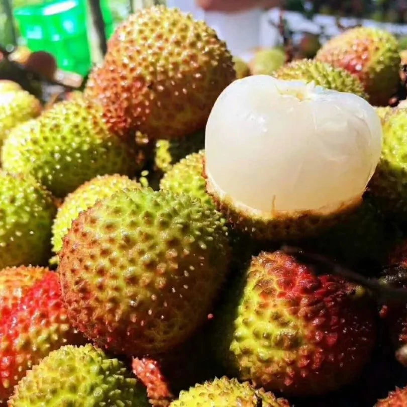 新鲜小核荔枝500g广西壮族自治区