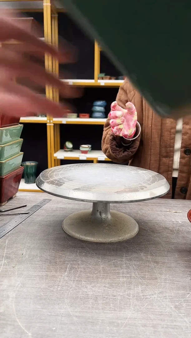 高**瞩56号一盆绿色带高温裂