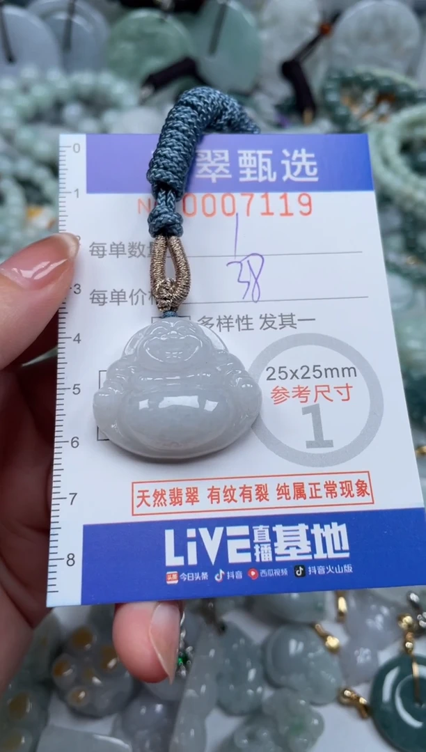 翡翠未镶嵌颈饰00..7119