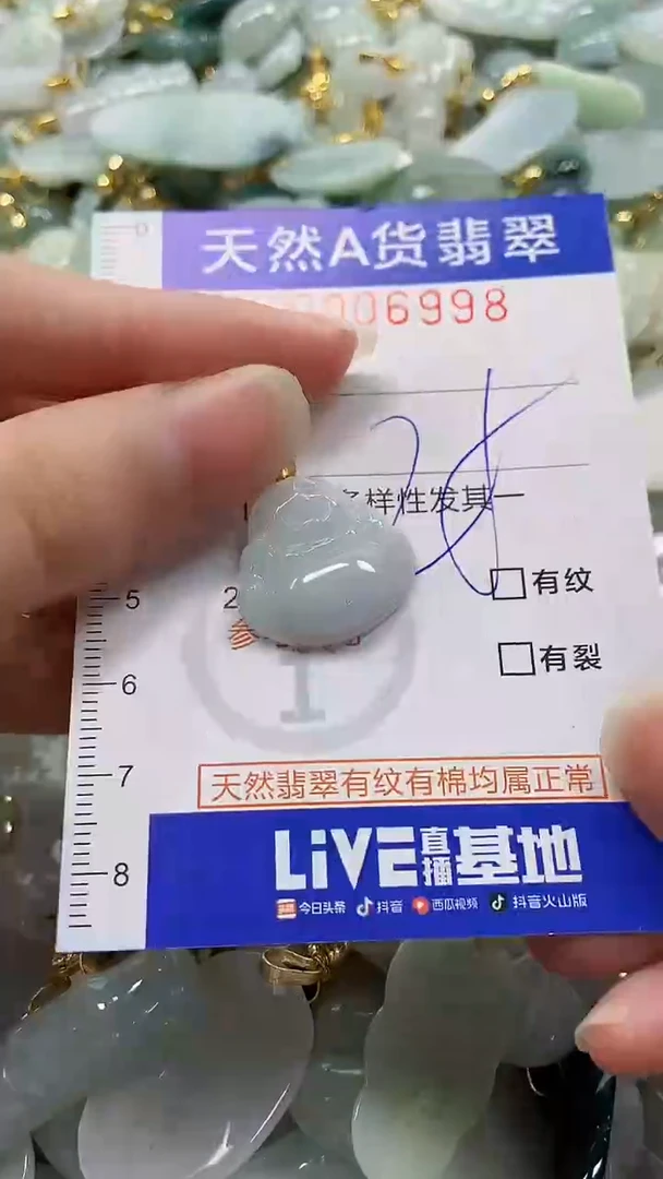 颈饰未镶嵌翡翠纯天然a货翡翠