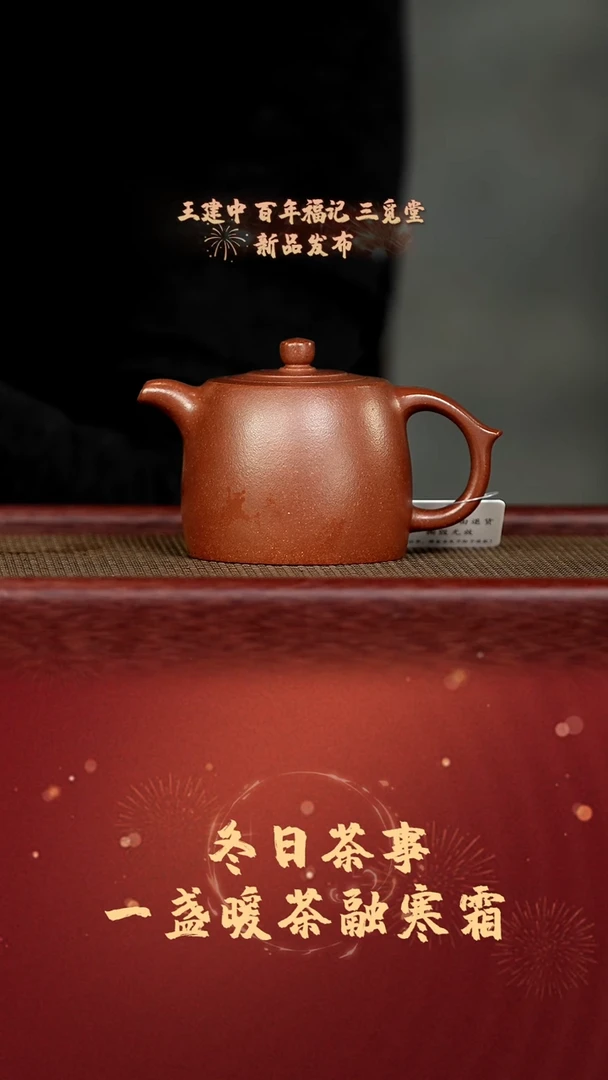 茶壶紫砂 珽珽茶器 井栏 周乾 某革泥190cc 家用紫砂壶