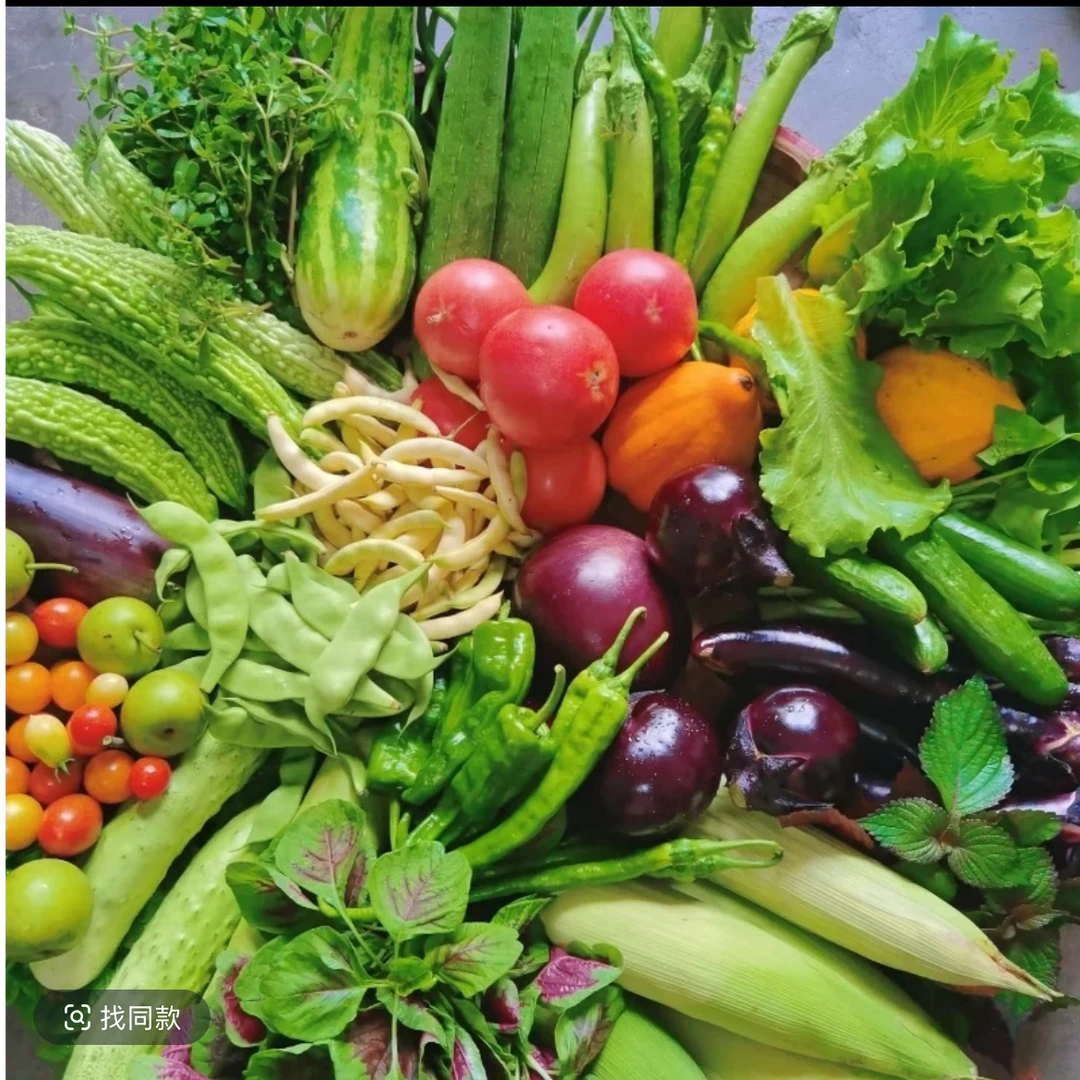 【建哥助农水果】现场直播赶集蔬菜链接 ，老乡自产自销