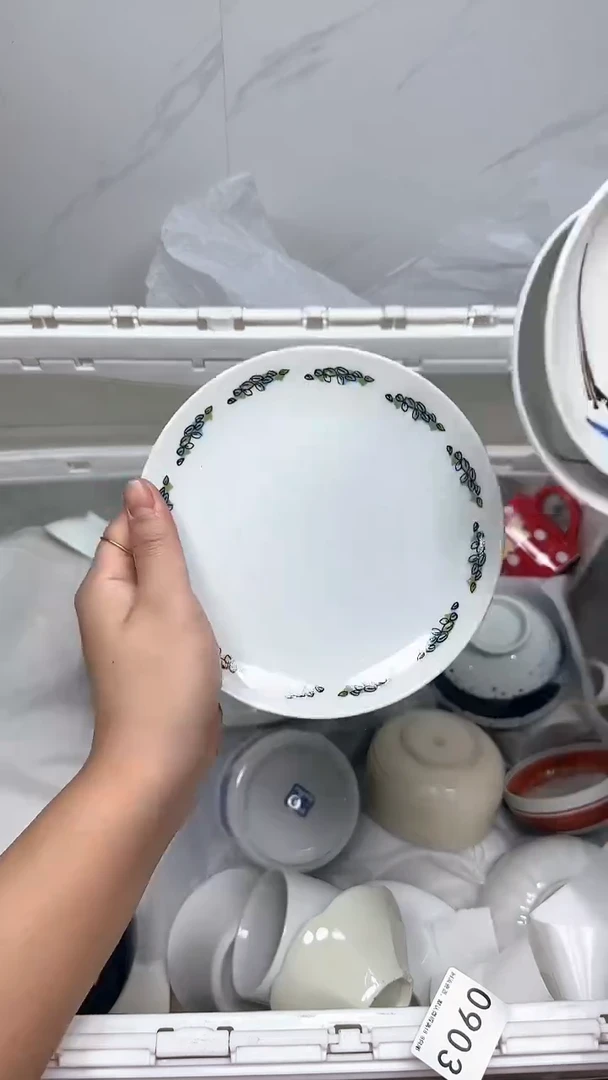 【闪购商品】471回流瓷器默认微瑕，18.8包邮