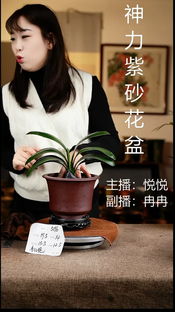 紫砂花盆花卉工艺5196+s