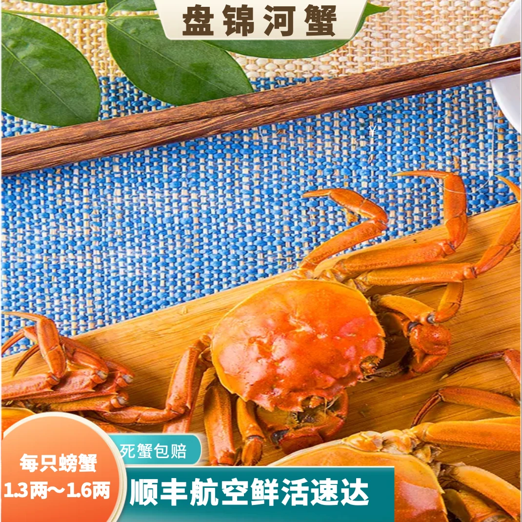【活蟹】盘锦稻田蟹1.6-1.3两/只 母蟹2斤  全大母蟹 顺丰包邮
