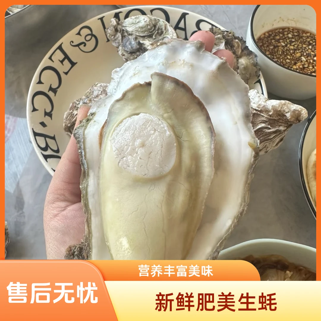正宗乳山生蚝 500G 买一送一