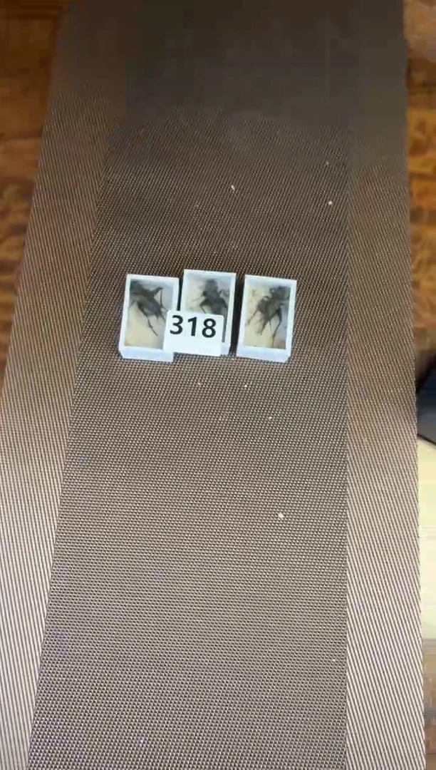 黑虫三只318
