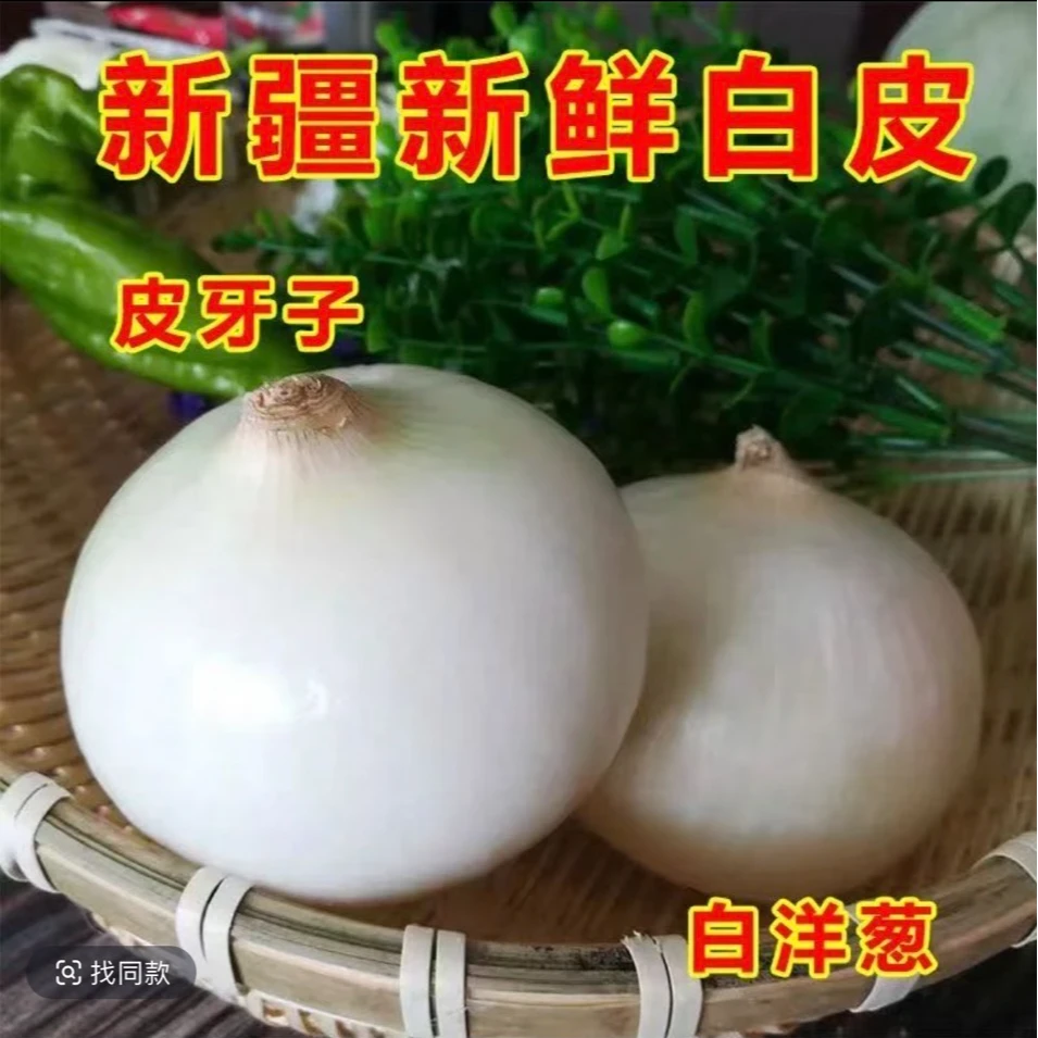 白皮牙子大葱苗红皮牙子带土苗，新疆包邮焉耆大棚直发带土秧苗