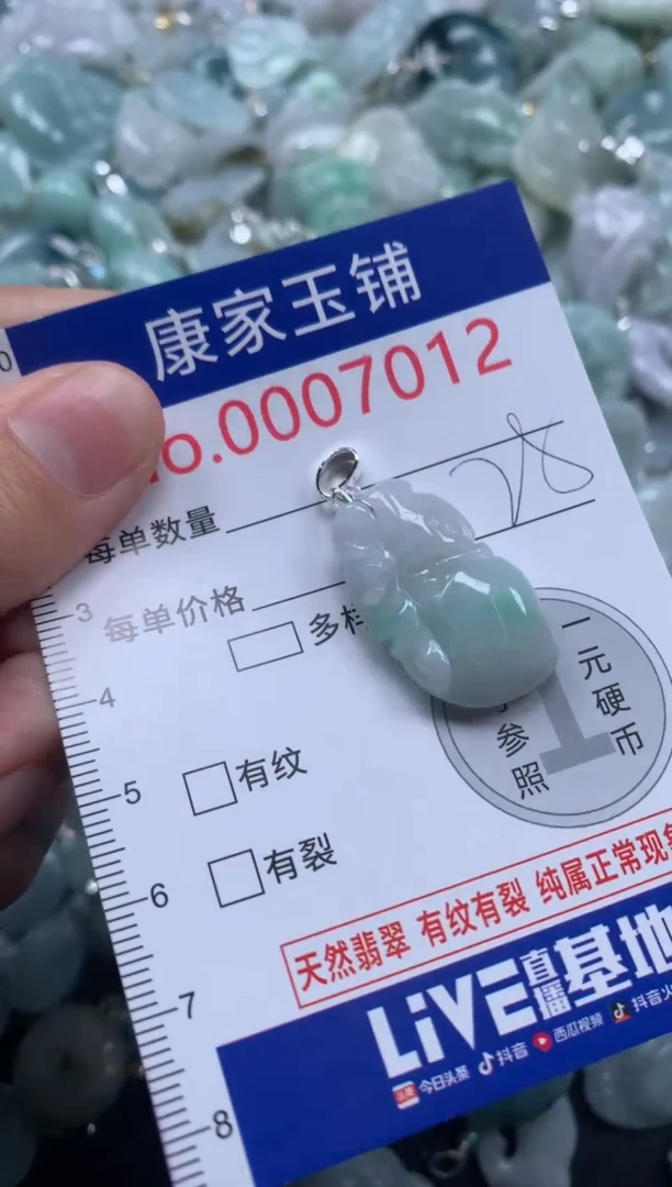 颈饰未镶嵌翡翠7012