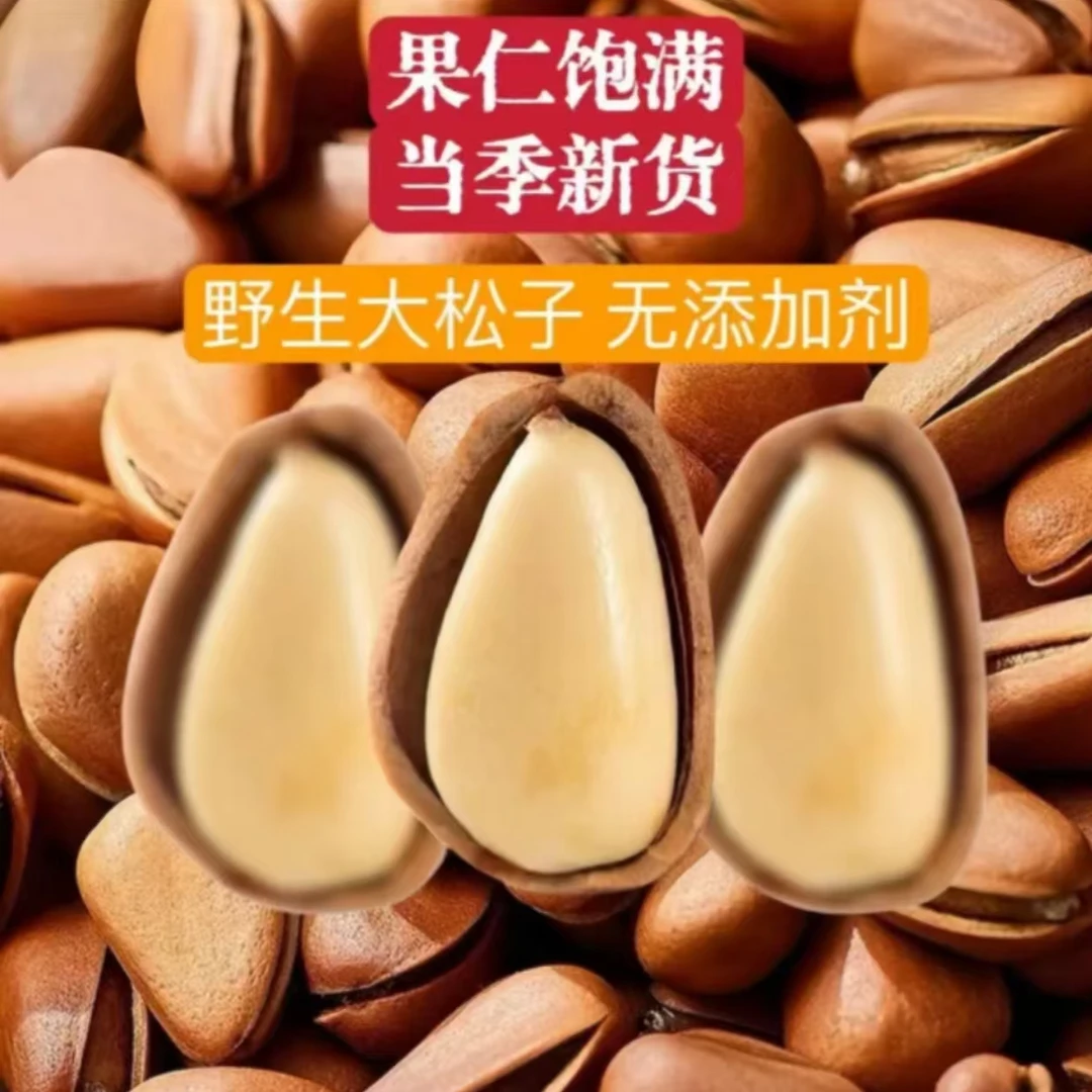 新果大颗粒东北松子开口现货现发饱满休闲零食