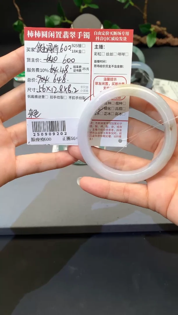 未镶嵌手镯翡翠姐姐250909202