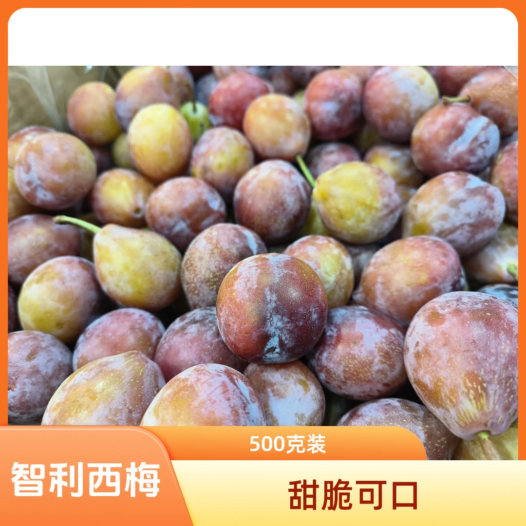 智利甜脆西梅 500克