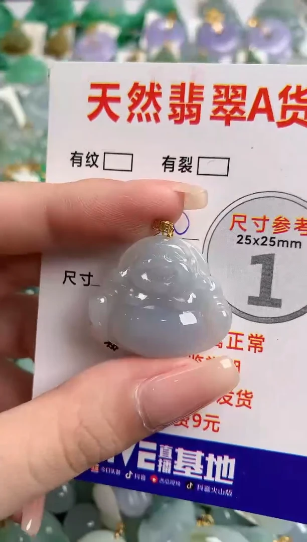 翡翠18K金镶嵌颈饰0581369596