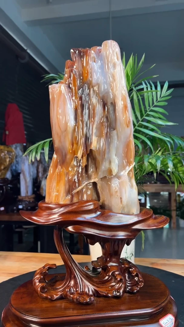 未镶嵌硅化玉（树化玉）珠宝奇石用****42125号