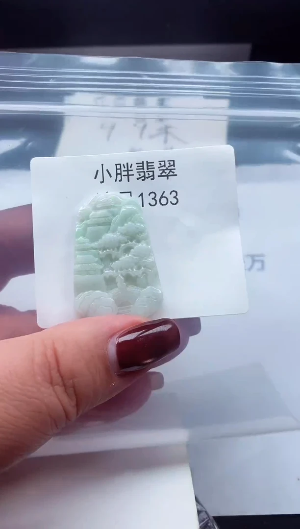 颈饰未镶嵌翡翠缅甸天然A货翡翠1363