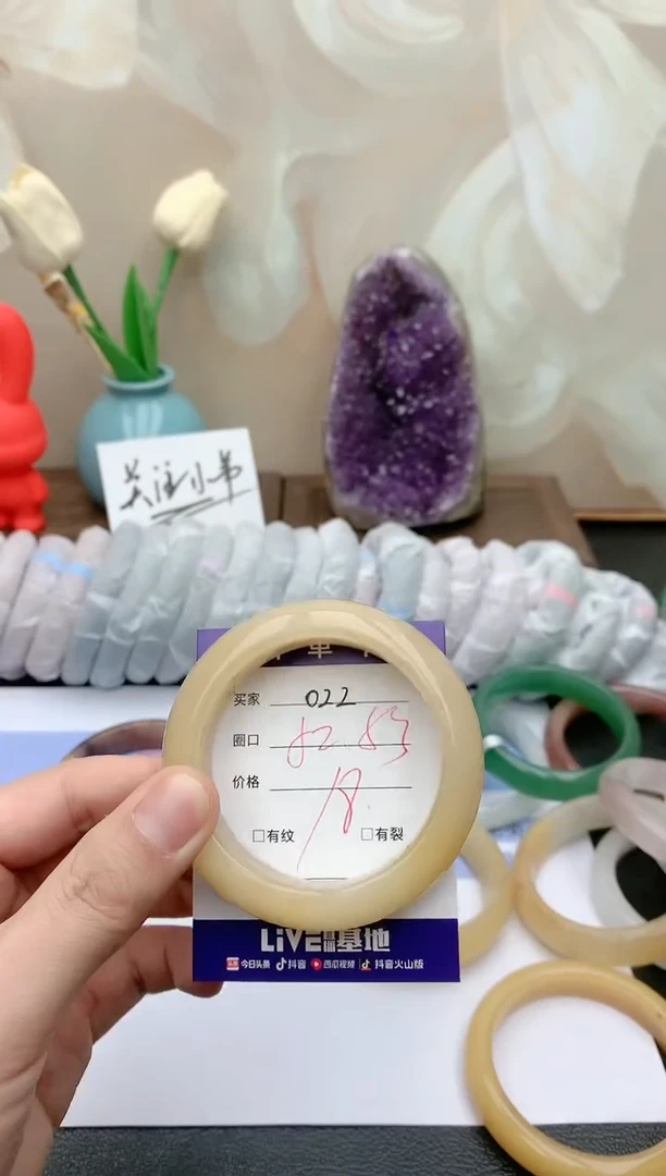 【闪购商品】石英质玉手镯未镶嵌天然玉石手镯-022