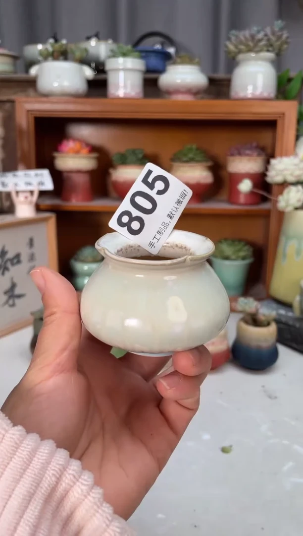 瓷片805小芳直播编号