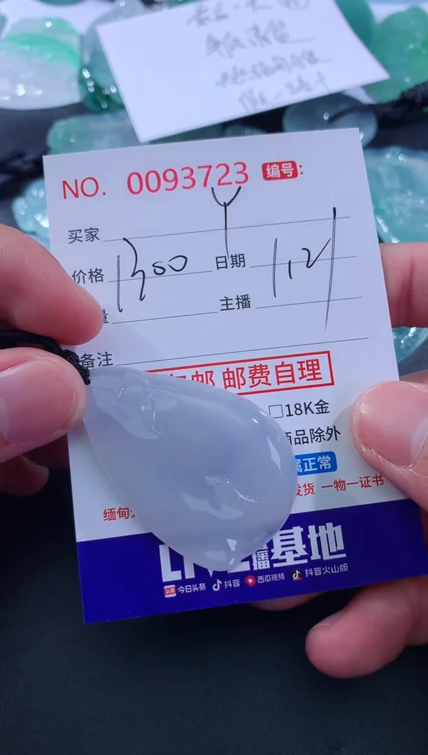 【闪购商品】翡翠颈饰未镶嵌定向 Y