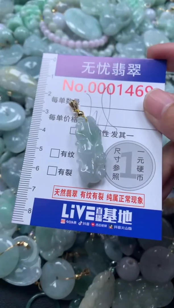 颈饰未镶嵌翡翠1469