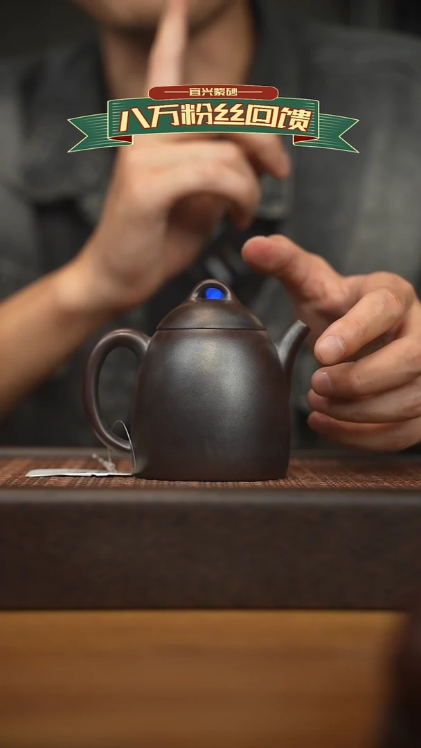 茶壶紫砂宜兴原矿紫砂壶容量200cc