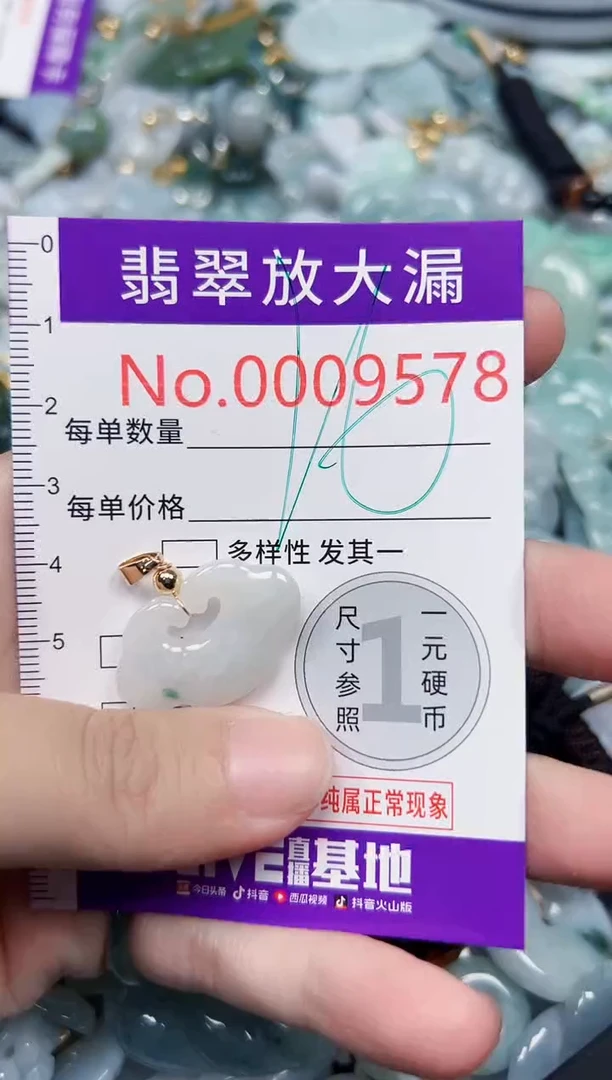 颈饰未镶嵌翡翠9578