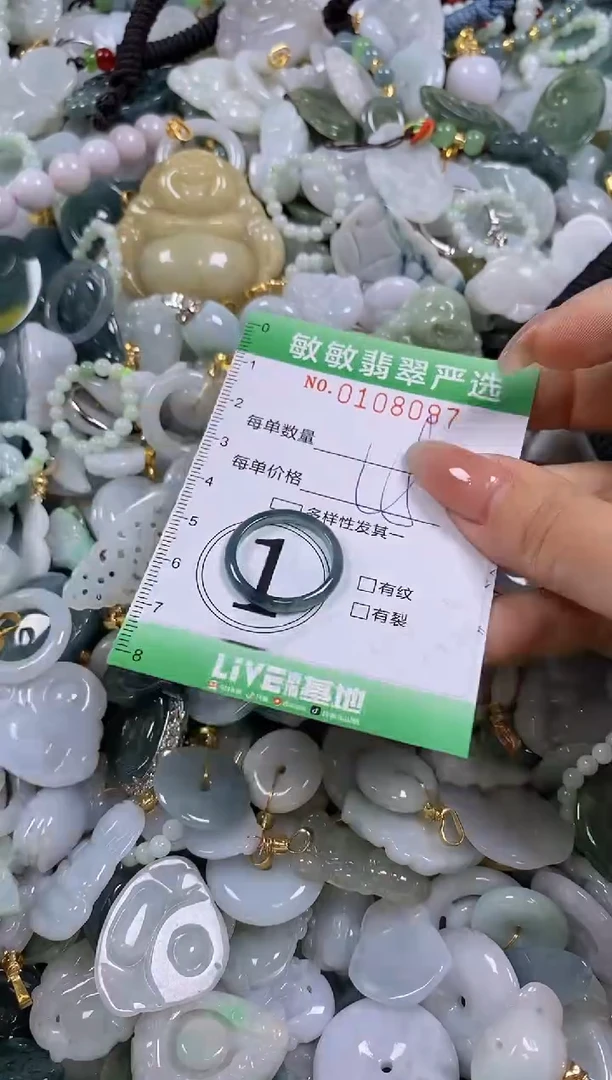 【闪购商品】翡翠颈饰未镶嵌闪购0108097