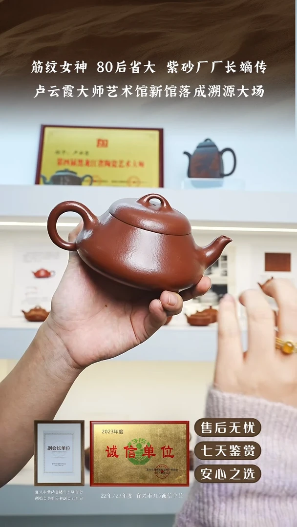 卢云霞紫袍玉砂汉棠石瓢360cc