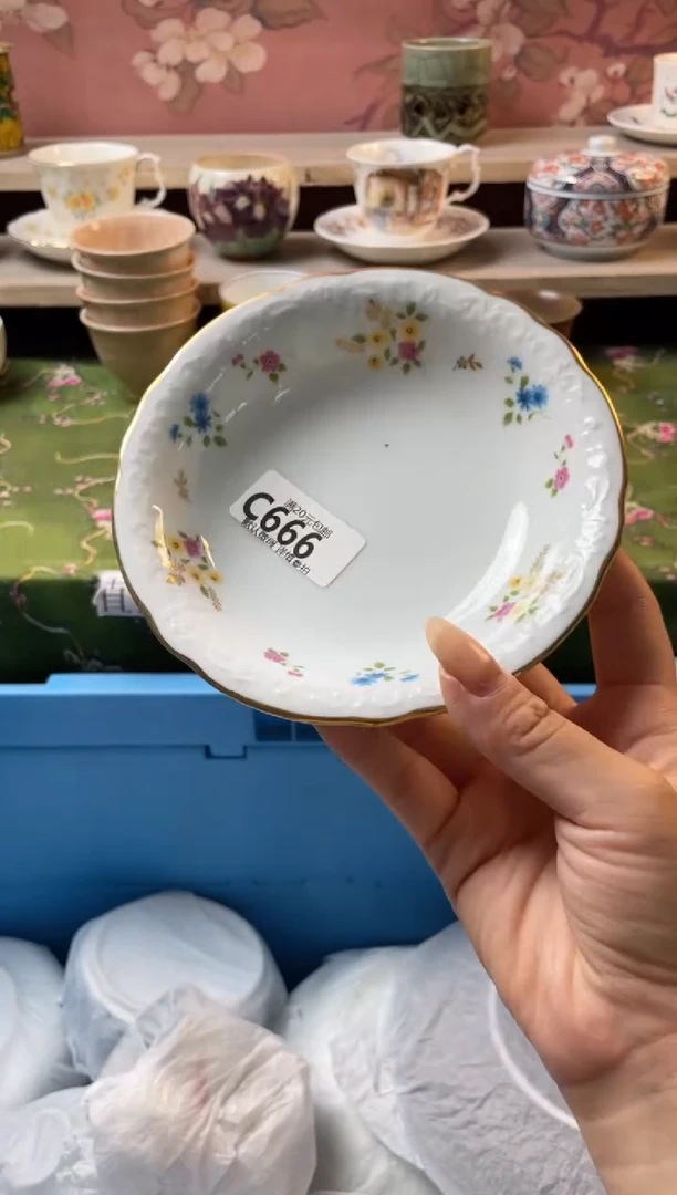 瓷片✨**?瓷器瓷器C666