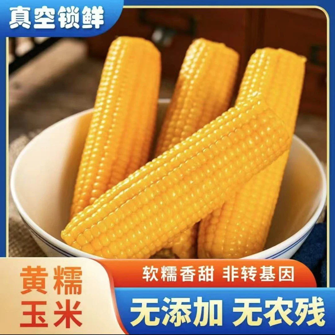 试吃2根东北头茬大棒黄糯玉米10支5.5-6斤