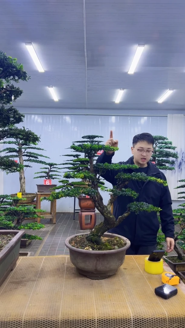 000000000000000000000000